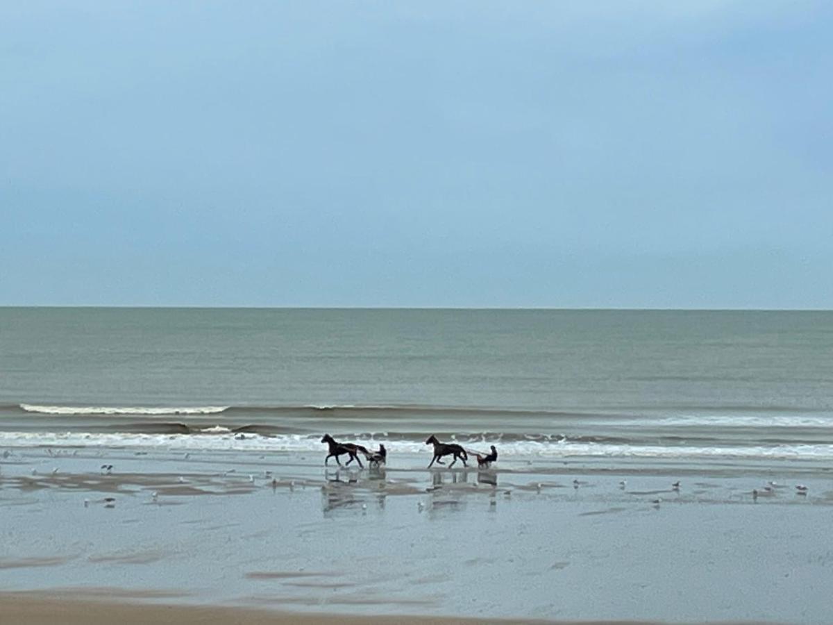 Agreable 2 Pieces. Face A La Mer. Cabourg Dış mekan fotoğraf